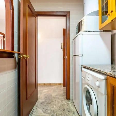 Apartment Oasis